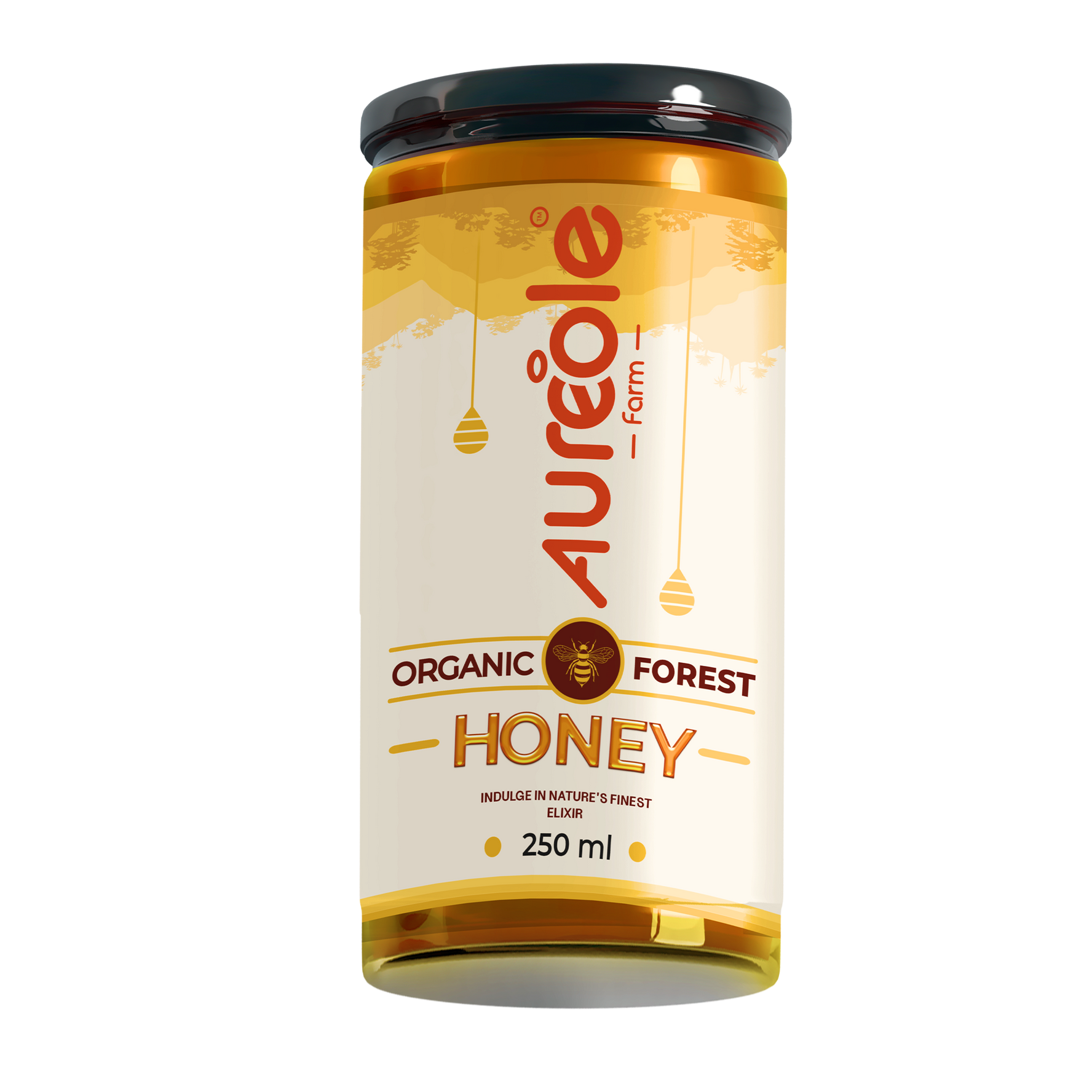 Organic Wild Forest Pure Honey I Raw Multifloral